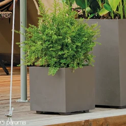 Best Deroma MILLENIUM 208-623 PLANTEKASSE PLASTIK SANDSTEN 49X49X49 CM