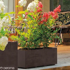 Clearance Deroma MILLENIUM 208-609 PLANTEKASSE PLASTIK ANTRACITGRÅ L59 CM