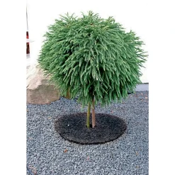 Clearance Garden Life GRÆSKANT Ø30XH7 CM
