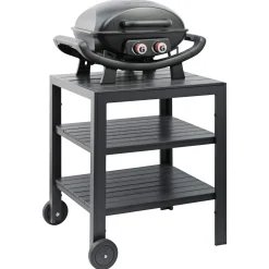 Hot GrillGrill HANDY MULTI BORD