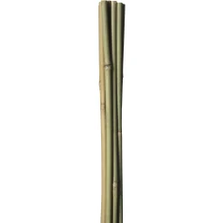 Sale HOME it GARDEN BAMBUSPINDE 150 CM