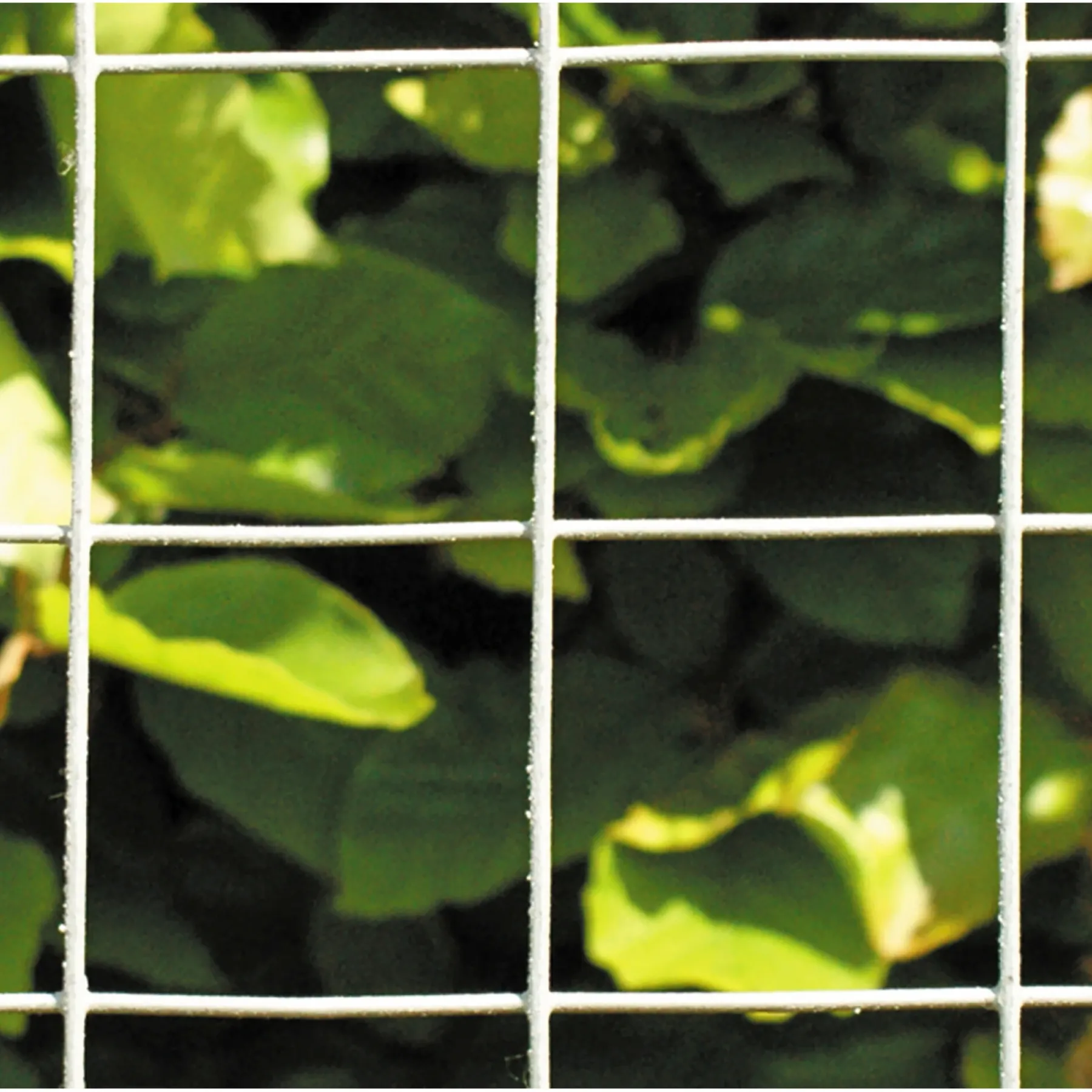Sale Hortus HEGN SØLV GALVANISERET 0.60 X 25 M