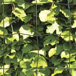 Best Hortus PVC FRI TRÅDHEGN SORT PLASTBELAGT 0.60 X 20 M