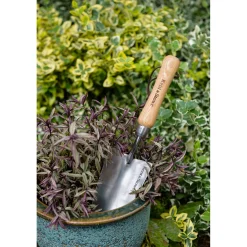 Sale Kent & Stowe PLANTESKE