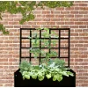 Online LAND ESPALIER