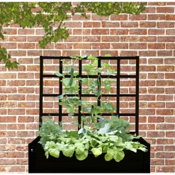Online LAND ESPALIER