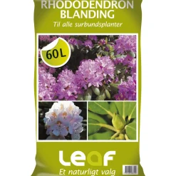New Leaf RHODODENDRONBLANDING 60 L