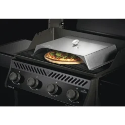 Best Napoleon PIZZA INDSATS