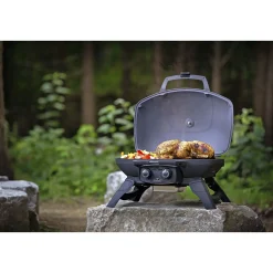 Best Napoleon TRAVELQ 285 GASGRILL SORT