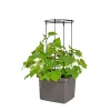 Clearance Pindstrup TIL SELVVANDENDE PLANTEKASSE ESPALIER SORT