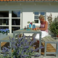 Outlet Plus PLANKESÆT NATUR