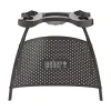 Best Weber Q 1000/2000 STANDER