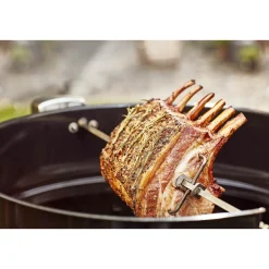 Best Weber ROTISSERI