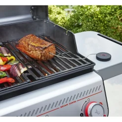 Hot Weber SMART PROBE STEGETERMOMETER