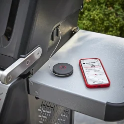 Hot Weber SMART PROBE STEGETERMOMETER