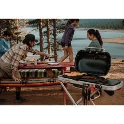 Discount Weber TRAVELER GASGRILL SORT